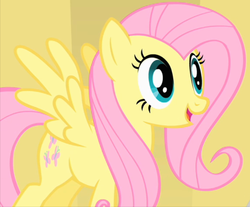 Size: 750x620 | Tagged: safe, screencap, fluttershy, pegasus, pony, g4, green isn't your color, cropped, female, mare, solo