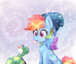 Size: 1500x1264 | Tagged: safe, artist:jumblehorse, artist:pink-pone, rainbow dash, tank, pegasus, pony, tortoise, catching snowflakes, chest fluff, chromatic aberration, collaboration, colored pupils, cute, dashabetes, duo, earmuffs, eyes closed, female, hat, mare, snow, tankabetes, tongue out, wing fluff, winter