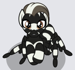 Size: 1478x1391 | Tagged: oc name needed, safe, artist:badumsquish, derpibooru exclusive, oc, oc only, monster pony, original species, spiderpony, zebra spider, cropped, high angle, looking at you, looking up, male, nervous, pun, scared, simple background, solo, visual pun, zoomed in