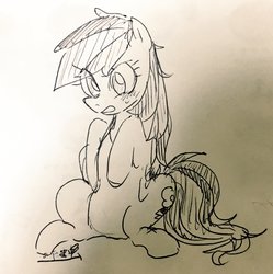 Size: 2036x2048 | Tagged: safe, artist:nota_mano, rainbow dash, pegasus, pony, g4, blushing, female, high res, lineart, mare, monochrome, simple background, sitting, solo, traditional art
