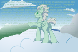 Size: 3000x2000 | Tagged: safe, alternate version, artist:jennithedragon, oc, oc only, oc:the ancient aviator, pegasus, pony, legends of equestria, bee movie, bee movie script, butt, cloud, high res, male, meme, plot, scenery, solo, stallion
