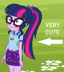 Size: 676x758 | Tagged: safe, edit, edited screencap, screencap, sci-twi, twilight sparkle, equestria girls, g4, my little pony equestria girls: legend of everfree, adorkable, arrow, blushing, captain obvious, caption, cropped, cute, dork, female, image macro, solo, text, truth, twiabetes