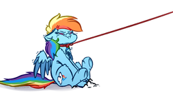 Size: 4000x2300 | Tagged: safe, artist:witchtaunter, rainbow dash, pegasus, pony, :<, :i, angry, behaving like a dog, cheek fluff, chest fluff, collar, colored wings, colored wingtips, cross-popping veins, cute, dashabetes, do not want, dragging, ear fluff, female, floppy ears, fluffy, glare, horses doing horse things, leash, leg fluff, madorable, mare, no catchlights, no pupils, pony pet, puffy cheeks, pulling, shivering, shoulder fluff, simple background, sitting, solo, spread wings, stubborn, two toned wings, underhoof, white background, wing fluff, wings