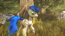 Size: 1920x1080 | Tagged: safe, artist:pesty_skillengton, artist:silvernote, oc, oc only, oc:record melodie, pegasus, pony, 3d, butt, featureless crotch, forest, looking at you, male, plot, solo, source filmmaker, stallion