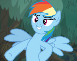 Size: 970x770 | Tagged: safe, screencap, rainbow dash, pegasus, pony, equestria girls, equestria girls specials, g4, my little pony equestria girls: better together, my little pony equestria girls: spring breakdown, bipedal, cropped, equestria girls ponified, female, human pony dash, mare, ponified, smiling, solo, spread wings, underhoof, wings