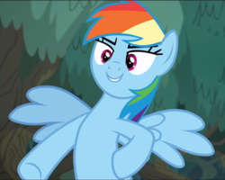 Size: 962x771 | Tagged: safe, screencap, rainbow dash, pegasus, pony, equestria girls, equestria girls series, g4, spring breakdown, spoiler:eqg series (season 2), bipedal, cropped, equestria girls ponified, female, hooves on hips, human pony dash, mare, ponified, smiling, solo, spread wings, underhoof, wings