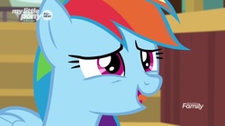 Size: 1280x720 | Tagged: safe, screencap, rainbow dash, pony, common ground, g4, close-up, female, mare, solo