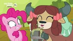 Size: 1920x1080 | Tagged: safe, screencap, pinkie pie, yona, earth pony, pony, yak, g4, she's all yak, bow, cloven hooves, discovery family logo, duo, female, hair bow, hoof hold, mare, monkey swings, tree-root stew