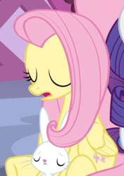 Size: 567x806 | Tagged: safe, screencap, angel bunny, fluttershy, rarity, g4, she's all yak, cropped, eyes closed, sleeping, solo focus, underhoof