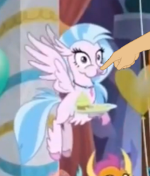 Size: 448x528 | Tagged: safe, edit, edited screencap, screencap, silverstream, smolder, classical hippogriff, hippogriff, g4, she's all yak, boop, boop edit, cropped, female, finger, hand, puffy cheeks, solo focus
