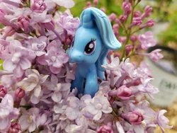 Size: 1200x900 | Tagged: safe, trixie, pony, unicorn, g4, female, irl, looking at you, photo, solo, toy