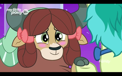 Size: 1280x800 | Tagged: safe, screencap, yona, earth pony, pony, yak, g4, season 9, she's all yak, blushing, bow, cloven hooves, cute, discovery family, discovery family logo, duo, female, hair bow, letterboxing, logo, male, monkey swings, smiling, yonadorable