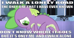 Size: 665x347 | Tagged: safe, edit, edited screencap, editor:undeadponysoldier, screencap, spike, equestria games (episode), g4, boulevard of broken dreams, crystal empire, depressing, emotional, green day, head down, lonely, lyrics, male, poor spike, sad, solo, song reference, text, walking