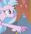 Size: 263x283 | Tagged: safe, screencap, silverstream, classical hippogriff, hippogriff, g4, she's all yak, animated, cropped, cute, diastreamies, faic, female, gif, quadrupedal, reaction image, solo, you look so weird