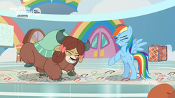 Size: 1366x768 | Tagged: safe, screencap, rainbow dash, yona, pegasus, pony, yak, g4, she's all yak, bow, cloven hooves, cute, dancing, dashabetes, dotted line, duo, female, gym, hair bow, hoofprints, mare, monkey swings, paper, yonadorable