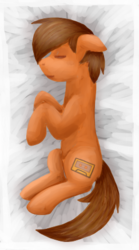 Size: 243x436 | Tagged: safe, artist:sevenserenity, oc, oc only, oc:mixtape, earth pony, pony, body pillow, body pillow design, lineless, on side, orange, sleeping, solo