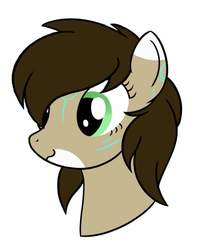 Size: 762x949 | Tagged: safe, artist:techmagic, oc, oc only, oc:rune, pony, :3, brown mane, bust, female, filly, green eyes, solo