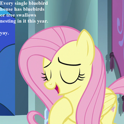 Size: 648x648 | Tagged: safe, edit, edited screencap, editor:korora, screencap, fluttershy, pony, g4, the beginning of the end, cropped, cute, dialogue, shyabetes, yay