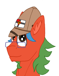 Size: 2597x3336 | Tagged: safe, artist:summerium, oc, oc only, oc:summer lights, pegasus, pony, bust, flag, glasses, high res, male, mittelafrika, mixed media, portrait, salacot, solo
