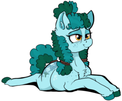 Size: 3672x3032 | Tagged: safe, artist:paskanaakka, derpibooru exclusive, oc, oc only, oc:gleamblossom, earth pony, pony, butt freckles, chest fluff, colored hooves, ear fluff, female, freckles, high res, mare, prone, simple background, smiling, solo, transparent background, unshorn fetlocks