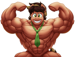 Size: 760x576 | Tagged: safe, artist:ponyanony, oc, oc only, oc:swiftdust, pegasus, pony, armpits, fetish, flexing, muscle fetish, muscles, necktie, solo