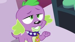 Size: 1920x1080 | Tagged: safe, screencap, spike, dog, equestria girls, g4, my little pony equestria girls, male, paw pads, paws, solo, spike the dog, spike's dog collar, tail, underpaw