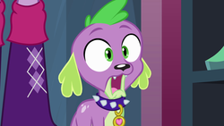 Size: 1920x1080 | Tagged: safe, screencap, spike, twilight sparkle, dog, equestria girls, g4, my little pony equestria girls, faic, jaw drop, legs, male, offscreen character, reaction image, shocked, spike the dog, spike's dog collar