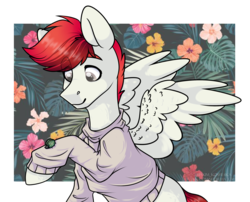 Size: 2629x2127 | Tagged: safe, artist:maximkoshe4ka, oc, oc only, insect, pegasus, pony, clothes, high res, male, solo, stallion, sweater