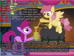 Size: 1197x918 | Tagged: safe, edit, edited screencap, screencap, berry punch, berryshine, dizzy twister, orange swirl, earth pony, pegasus, pony, g4, background pony, bible verse, cider, drunk, duo, female, flying, grin, hoof hold, hooves, ladle, mare, mug, religion, smiling, spread wings, tankard, text, wall of text, wings