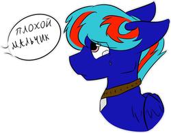 Size: 1280x997 | Tagged: safe, artist:irli_and_stripes, oc, oc only, oc:hellfire, pegasus, pony, series:ponydog, bad boy, blue fur, collar, crying, cyrillic, foal, pet, russian, slave, translated in the comments, young