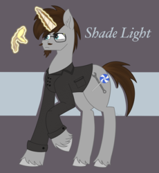 Size: 1867x2026 | Tagged: safe, artist:dyonys, oc, oc only, oc:shade light, pony, unicorn, abstract background, clothes, glasses, magic, male, raised hoof, stallion, text, unshorn fetlocks, watch