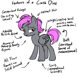 Size: 1000x1000 | Tagged: safe, artist:pablote, oc, oc only, oc:crash dive, pegasus, pony, anatomy, anatomy guide, butt, female, folded wings, lidded eyes, looking at you, mare, messy mane, plot, simple background, solo, white background, wings