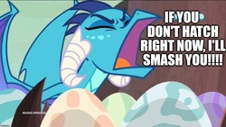 Size: 1280x720 | Tagged: safe, edit, edited screencap, screencap, princess ember, dragon, g4, sweet and smoky, caption, cartoonito logo, death threat, dragon egg, dragoness, egg, excessive exclamation marks, eyes closed, female, image macro, imgflip, italian, screaming, solo, text, threat, threatening, yelling