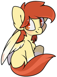 Size: 1736x2362 | Tagged: safe, artist:spoopygander, oc, oc only, oc:render point, pegasus, pony, blushing, chest fluff, colored wings, cute, happy, looking at you, looking over shoulder, male, multicolored hair, multicolored wings, smiling, spread wings, stallion, wings