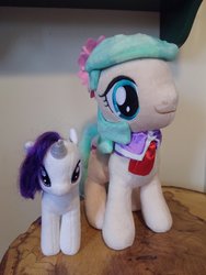 Size: 4160x3120 | Tagged: safe, artist:olyfactory, photographer:apex soundwave, coco pommel, rarity, earth pony, pony, unicorn, g4, clothes, duo, irl, photo, plushie