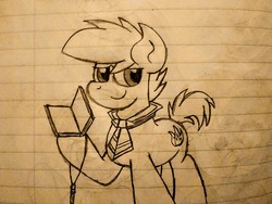 Size: 2560x1920 | Tagged: safe, artist:thebadbadger, oc, oc:phire demon, pony, lined paper