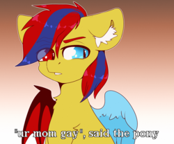 Size: 2400x2000 | Tagged: safe, artist:etoz, oc, oc only, oc:starflame blood, pegasus, pony, bat wings, chest fluff, commission, disgusted, ear fluff, eyebrows, gradient background, high res, looking at someone, male, meme, meme origin, solo, stallion, text, ur mom gay, wingding eyes, wings, ych result