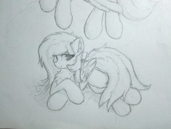 Size: 3264x2448 | Tagged: safe, pegasus, pony, female, high res, mare, solo, traditional art