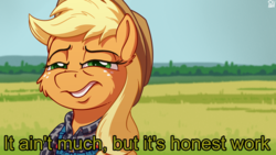 Size: 3840x2160 | Tagged: safe, artist:pirill, applejack, derpy hooves, pony, g4, caption, cheek fluff, clothes, female, field, fluffy, hat, high res, meme, plaid, ponified meme, solo, squint, text, when you see it