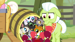 Size: 1920x1080 | Tagged: safe, screencap, goldie delicious, granny smith, cat, earth pony, pony, siamese cat, g4, going to seed, apple, barrel, female, food, goldie delicious' cats, mare, too many cats