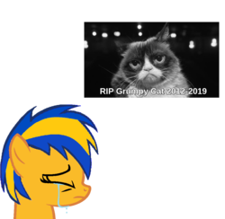Size: 1000x976 | Tagged: safe, artist:mlpfan3991, oc, oc:flare spark, pony, g4, crying, eyes closed, grumpy cat, photo, tribute