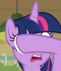 Size: 244x282 | Tagged: safe, screencap, twilight sparkle, alicorn, pony, unicorn, g4, season 9, the point of no return, animated, close-up, cropped, faic, female, great moments in animation, majestic as fuck, mare, solo, twilight sparkle (alicorn), twilight sparkle is best facemaker, wat, why the long face