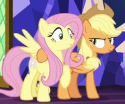 Size: 338x282 | Tagged: safe, screencap, applejack, fluttershy, earth pony, pegasus, pony, sounds of silence, animated, cropped, duo, female, glowing cutie mark, hoof around neck, laughing, lidded eyes, mare, nervous, nervous laugh, open mouth, out of context, raised eyebrow, raised hoof, smiling, twilight's castle, wide eyes, wings