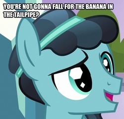 Size: 520x500 | Tagged: safe, edit, edited screencap, screencap, crystal hoof, thorax, changeling, crystal pony, pony, g4, the times they are a changeling, beverly hills cop, caption, cropped, disguised changeling, eddie murphy, image macro, imitation, male, mane, solo, text