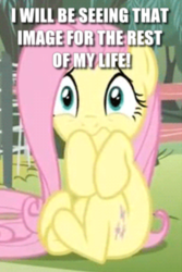 Size: 474x709 | Tagged: safe, edit, edited screencap, screencap, fluttershy, pegasus, pony, filli vanilli, g4, cannot unsee, caption, cropped, cute, female, i've seen some shit, image macro, mare, reaction image, scared, scarred for life, shyabetes, solo, text, traumatized, what has been seen