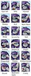 Size: 2064x5077 | Tagged: safe, artist:pridark, oc, oc only, oc:andromeda galaktika, bat pony, pony, angry, bat pony oc, bedroom eyes, blushing, boop, crazy face, disgusted, drunk, embarrassed, expressions, faic, glasses, happy, injured, nom, sad, scared, scrunchy face, silly, skeptical, sleepy, solo, tongue out