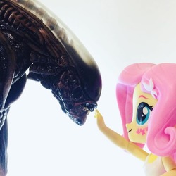 Size: 960x960 | Tagged: safe, fluttershy, alien, xenomorph, equestria girls, g4, doll, equestria girls minis, eqventures of the minis, female, irl, neca, photo, this will end in tears, toy