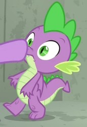Size: 424x617 | Tagged: safe, screencap, spike, twilight sparkle, alicorn, dragon, pony, g4, the point of no return, boop, claws, cropped, male, offscreen character, twilight sparkle (alicorn), winged spike, wings