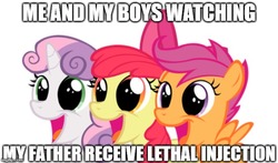 Size: 651x383 | Tagged: safe, artist:squidponer, apple bloom, scootaloo, sweetie belle, earth pony, pegasus, pony, unicorn, g4, caption, cutie mark crusaders, edgy, female, filly, image macro, impact font, implied death, implied execution, meme, text