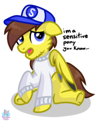 Size: 973x1207 | Tagged: safe, artist:rainbow eevee, oc, oc only, oc:ponyseb, pony, clothes, folded wings, hat, looking at you, raised hoof, simple background, solo, text, white background, wings